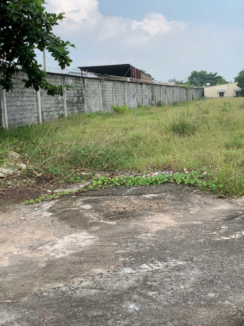  QUỸ ĐẤT 1HA MẶT TIỀN TÔ KÝ 12 – NGANG 39M – HÓC MÔN GIÁ ĐẦU TƯ CHỦ GẤP BÁN 