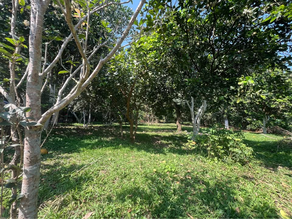  Bán lô đất 4860m2 ( 450m2 thổ cư) Tại phường Thống Nhất -  Hoà Bình ( nay là Tỉnh Phú Thọ) 