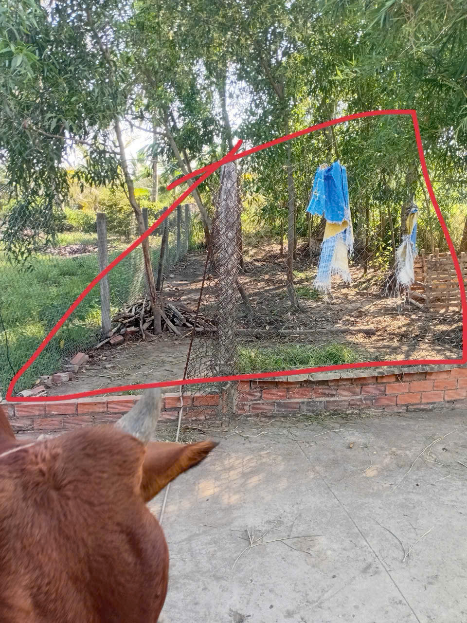  BÁN ĐẤT GẦN CHỢ TUA HAI - VỊ TRÍ ĐẸP - HUYỆN CHÂU THÀNH - TÂY NINH 