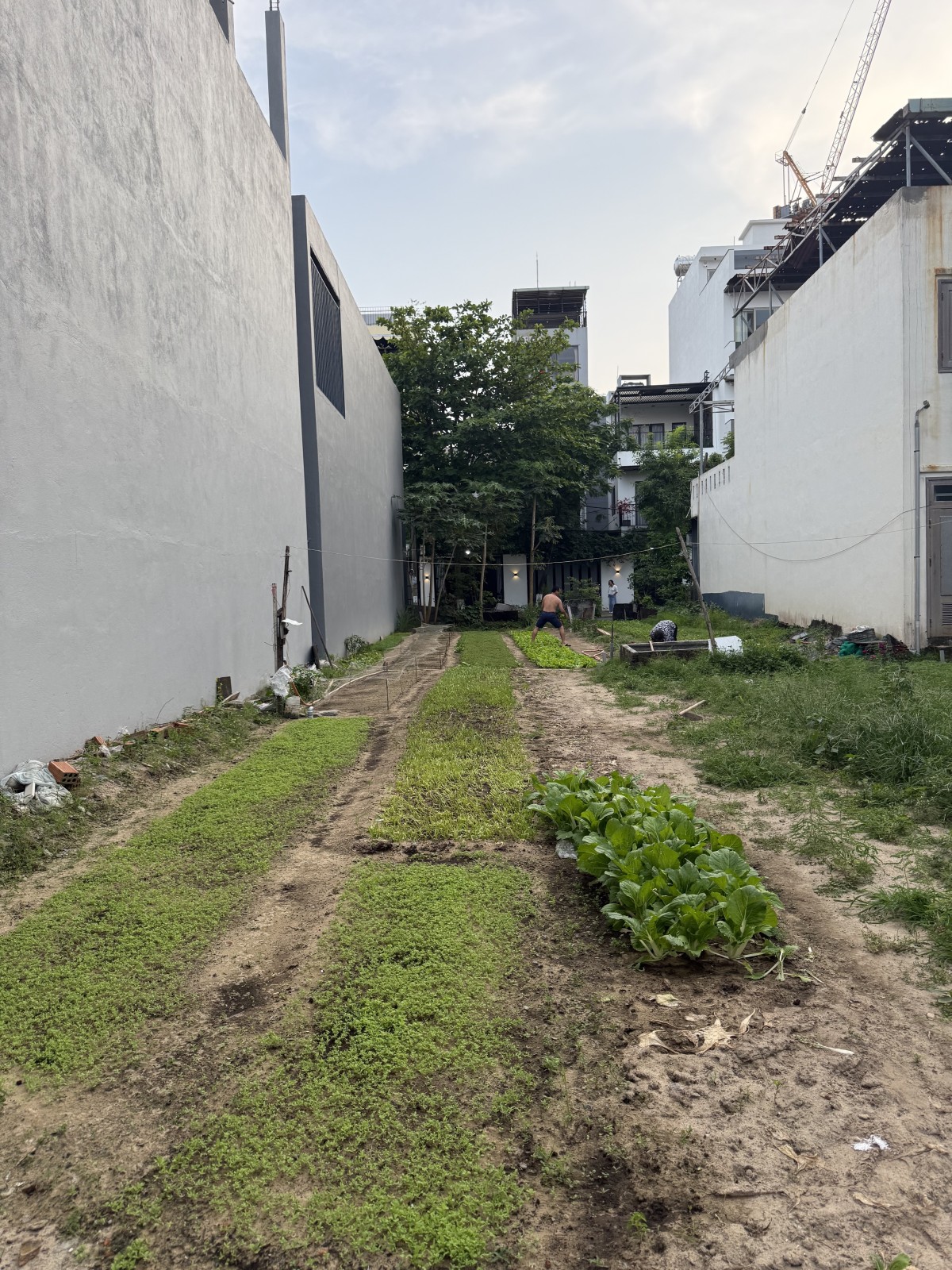  Bán đất Nguyễn Đức An 159m2 ngang 10m gần biển Sơn Trà giá 31 tỷ 