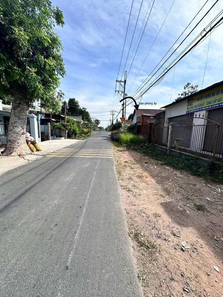  NHÀ XƯỞNG (25x53) MẶT TIỀN BÀU LÁCH – 1.310m² – XÂY DỰNG FULL – GIÁ CHỈ 13 TỶ 