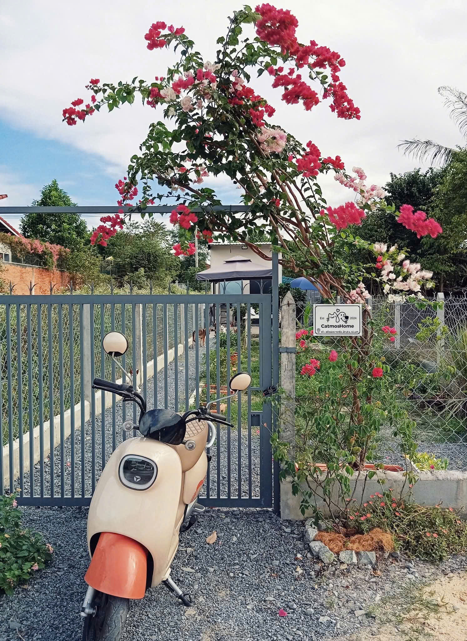  Chính chủ bán nhà vườn giá tốt 1,65 tỷ Vào hẻm Đỗ Đăng Tuyền, An Nhơn Tây, Củ Chi 