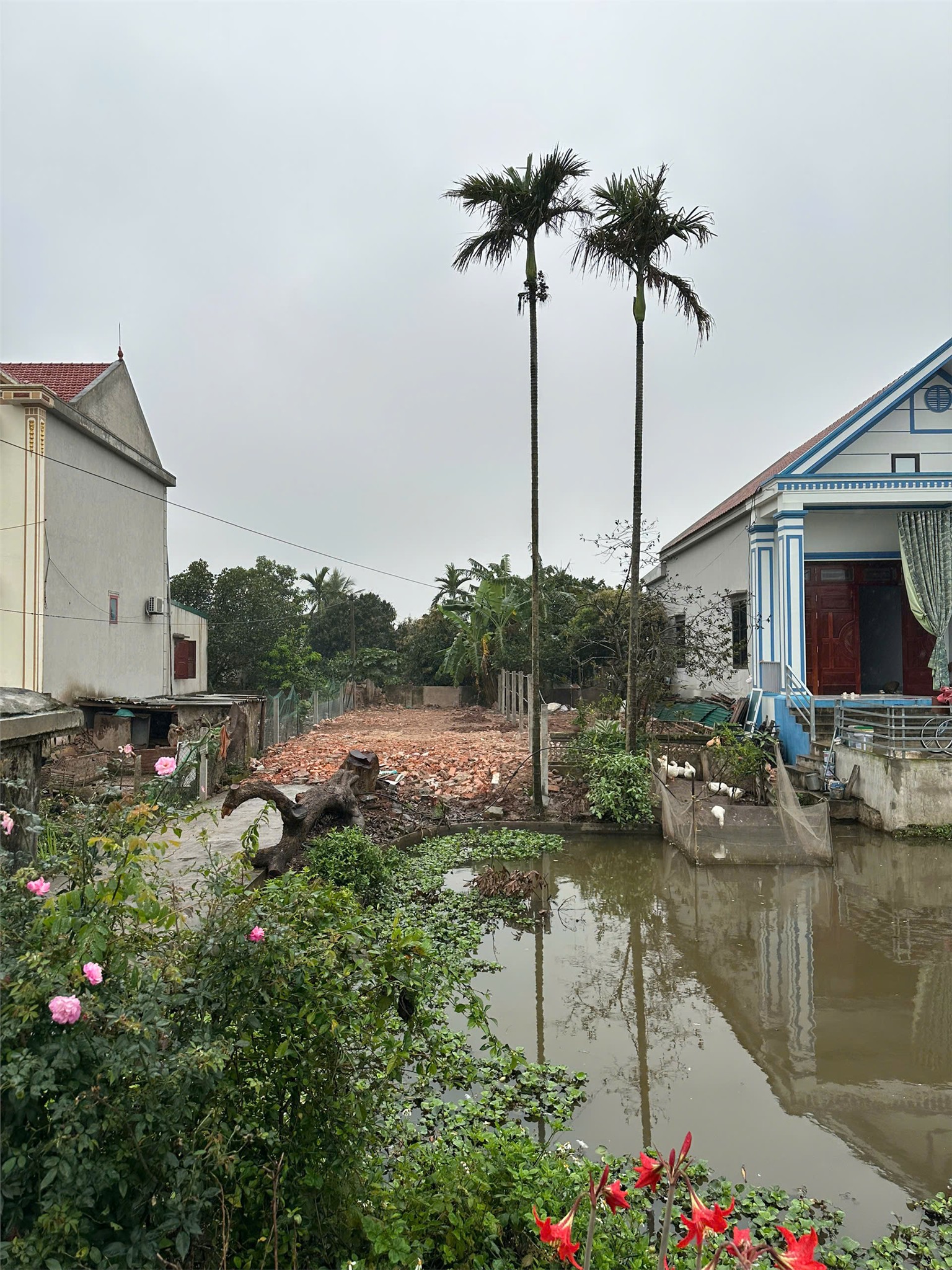  ĐẤT ĐẸP- GIÁ TỐT CHÍNH CHỦ CẦN BÁN NHANH LÔ ĐẤT TẠI xã Khánh Trung tỉnh Ninh Bình 