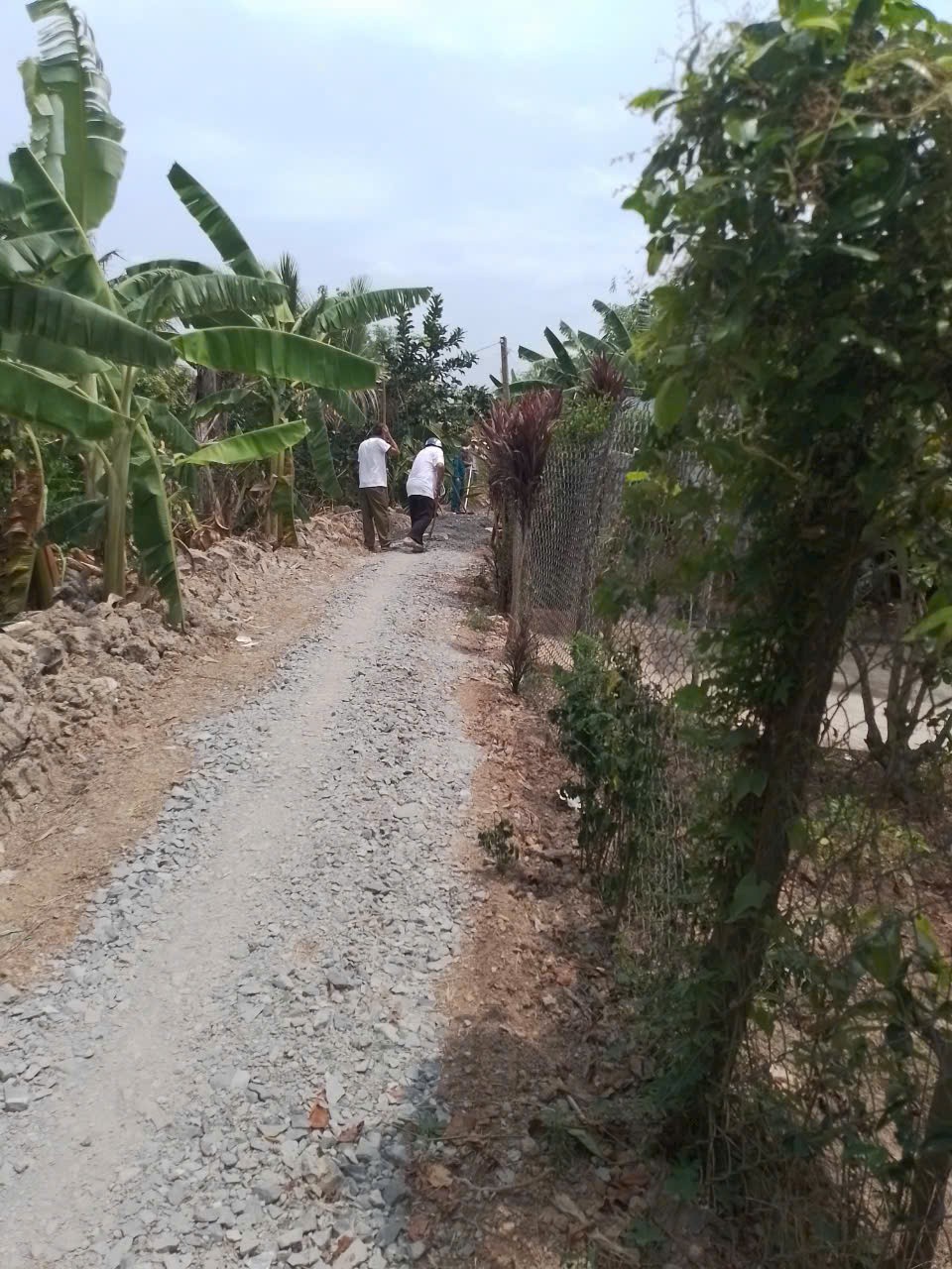  ĐẤT ĐẸP – GIÁ TỐT  – CHÍNH CHỦ CẦN BÁN GẤP tại xã Phú Long, huyện Châu Thành, tỉnh Đồng Tháp 