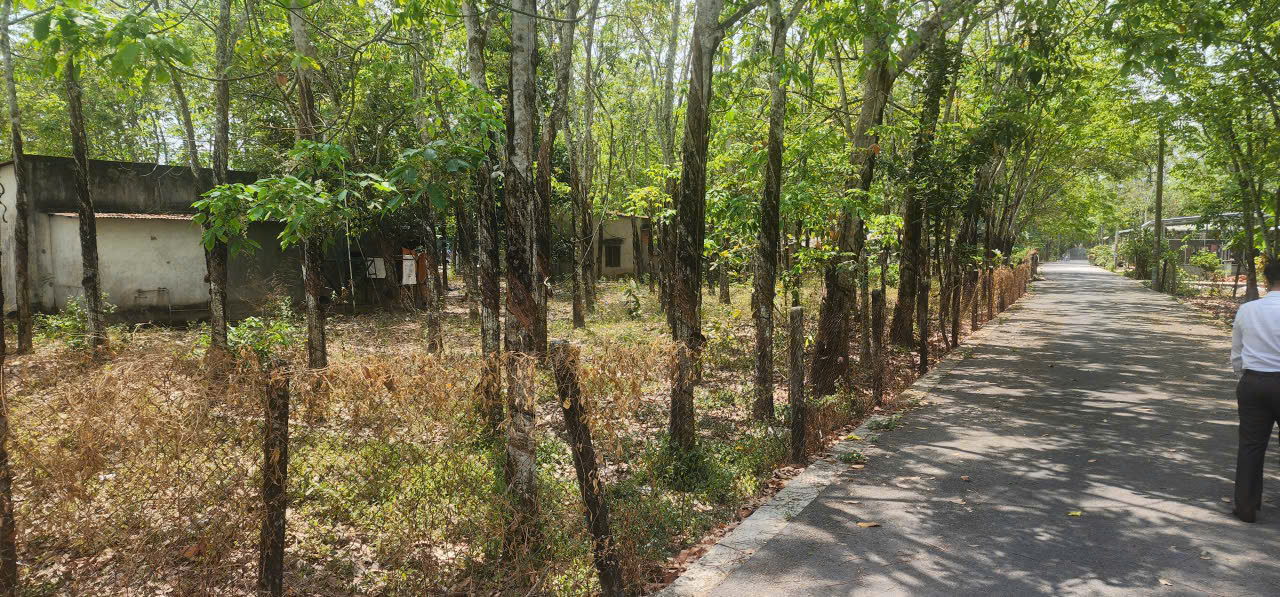  CẦN BÁN QUỸ ĐẤT LỚN 3 MẶT TIỀN NGAY SAU LƯNG CHỢ ĐỊNH HIỆP – DẦU TIẾNG 