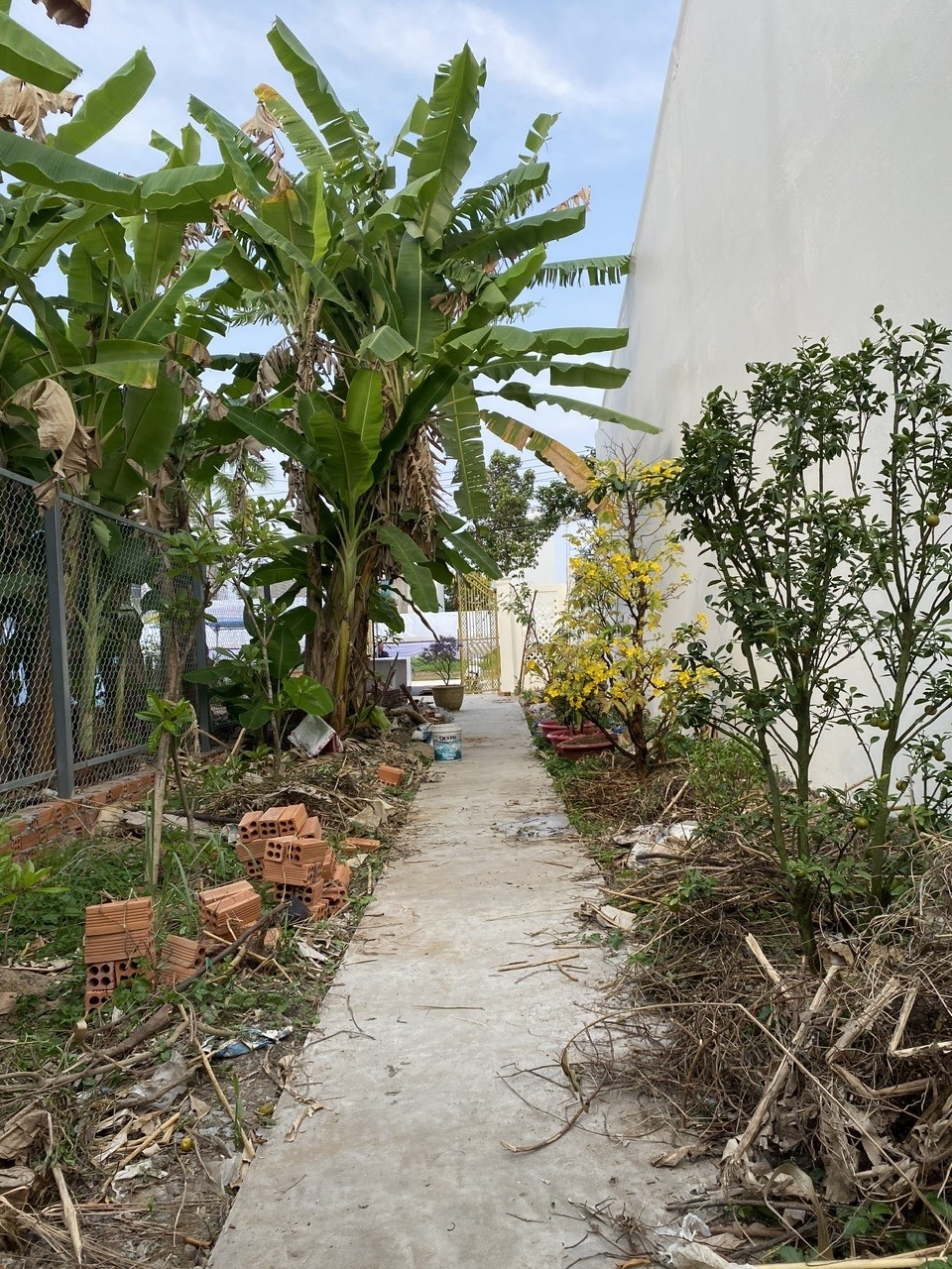  ĐẤT ĐẸP - Bán GẤP Lô Đất Tiềm Năng MẶT TIỀN Đường Châu Văn Liêm, Phường 9, Thành phố Cà Mau 