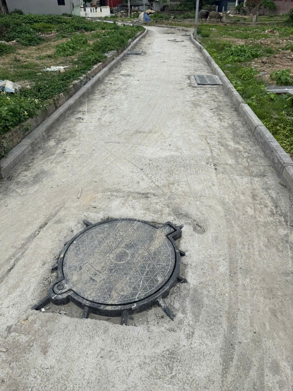  69m đất thôn Ấp Quan - tổ 9, Quang Minh, Mê Linh, đường rộng, oto đỗ mà giá chưa đến 2 tỷ 