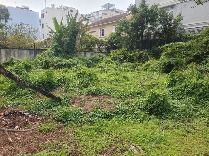  Cần Bán Gấp 2.496m2 Đất HXT Nguyễn Thị Sáu Thới Tam Thôn Hóc Môn- Chỉ 50 Tỷ 