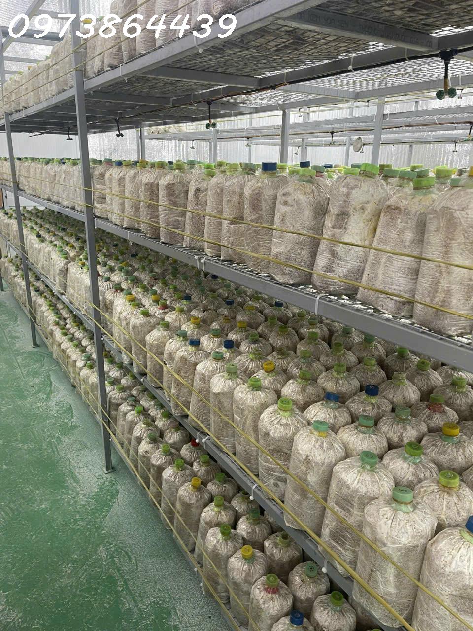  BÁN ĐẤ-  TẶNG XƯỞNG NẤM - PIN NĂNG LƯỢNG MẶT TRỜI MẶT TIỀN KINH DOANH - TẠI CỦ CHI - NGANG 18M - 2300M2 - GIÁ 12 TỶ TL 