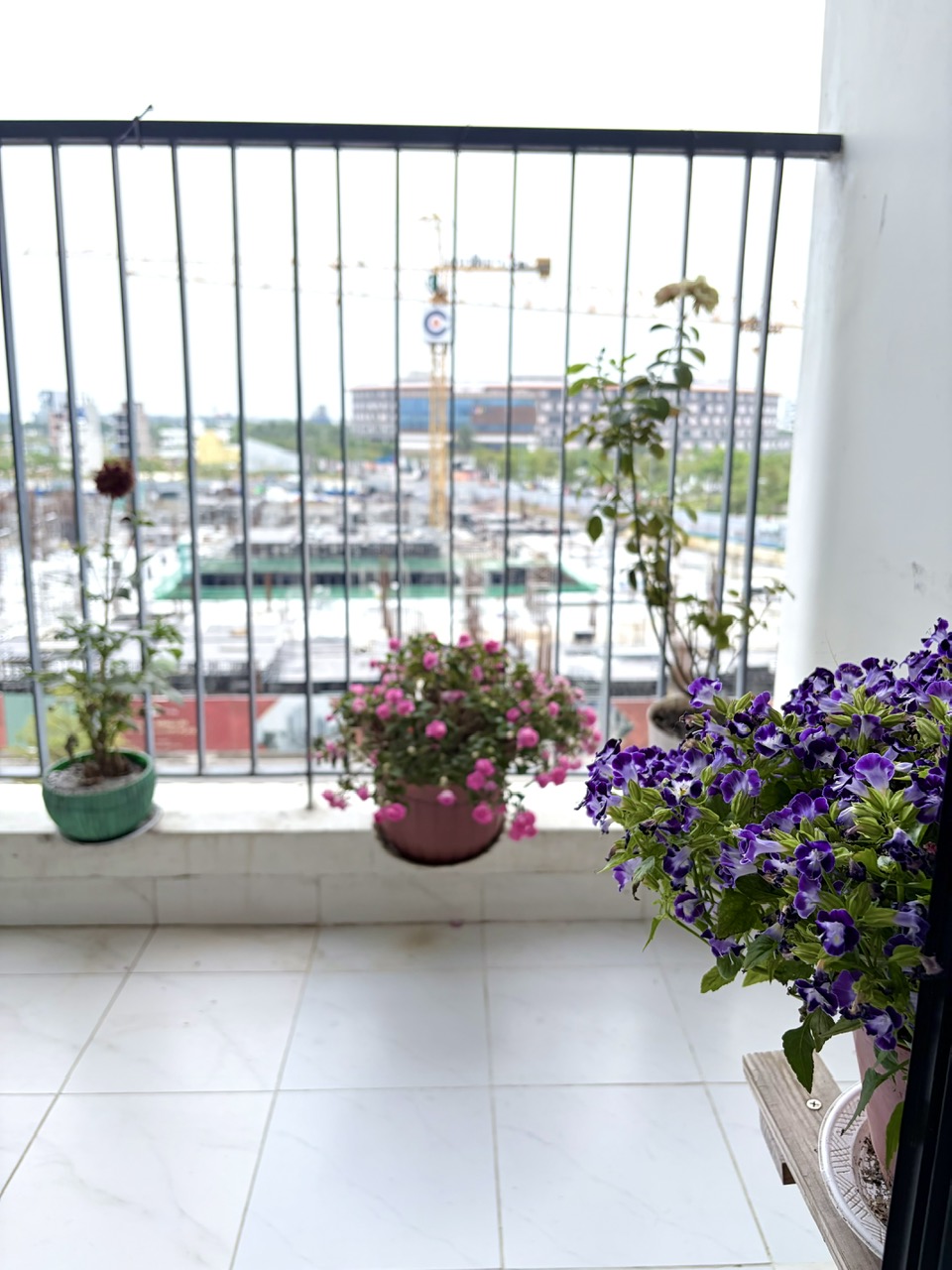  Bán căn góc 3PN_F1, view mặt tiền Đường Hoàng Minh Thắng, Ngũ Hành Sơn. 