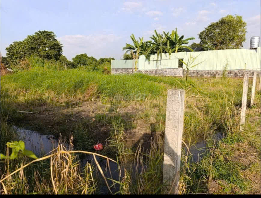  TỔNG THỂ LÔ ĐẤT DIỆN TÍCH LỚN – VỊ TRÍ ĐẸP NGAY TRỤC VÀNH ĐAI 3 – BÌNH MỸ, CỦ CHI 