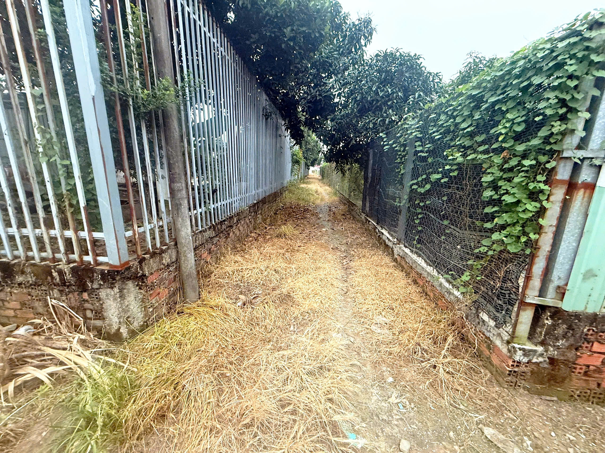  CẦN BÁN 1187M2 ĐẤT FULL THỔ CƯ ĐƯỜNG XE HƠI TẬN ĐẤT 