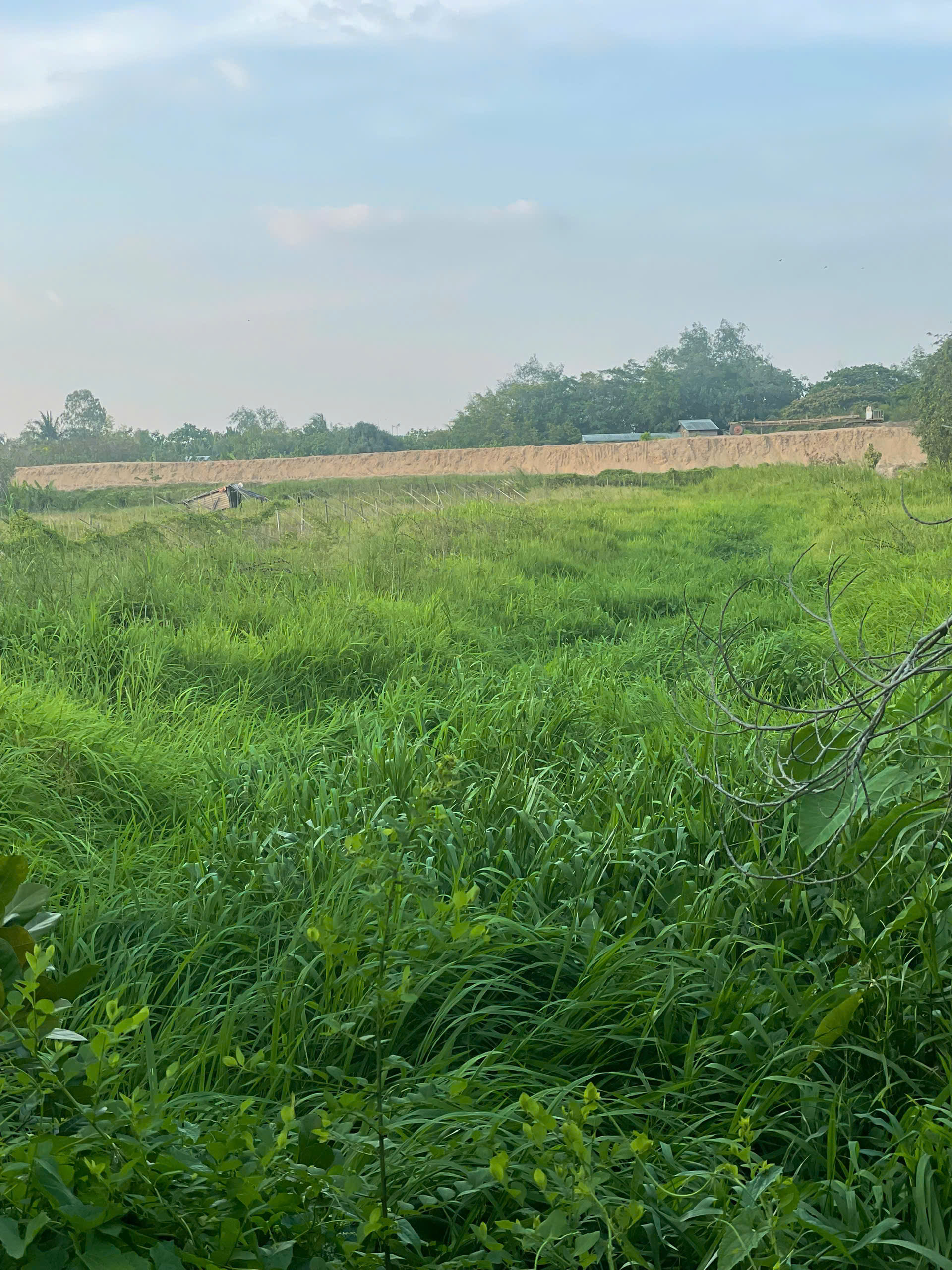  BÁN ĐẤT DIỆN TÍCH LỚN TẠI Cái Răng – TIỀM NĂNG ĐẦU TƯ CAO 