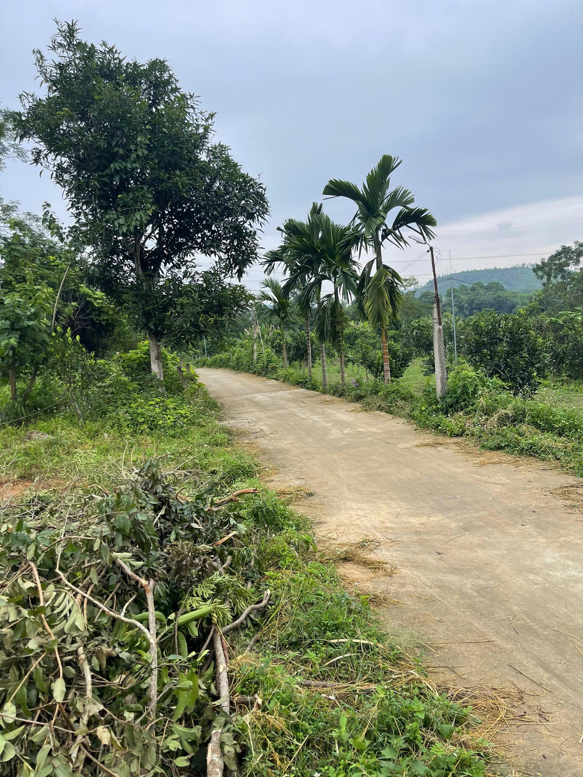  **BÁN ĐẤT GIÁ TỐT TẠI TUYÊN QUANG – ĐẤT RỘNG, PHÙ HỢP NHÀ VƯỜN** 