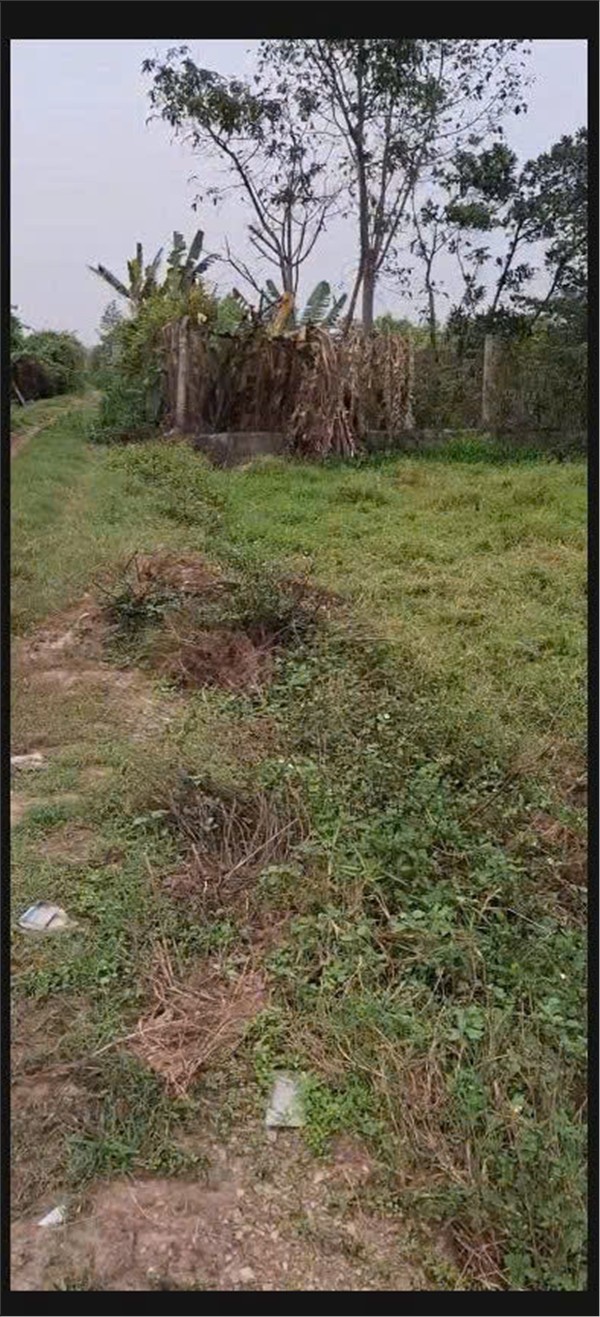  ĐẤT ĐẸP- GIÁ TỐT Chính chủ cần bán lô đất tiềm năng tại huyện Quốc Oai, TP Hà Nội 