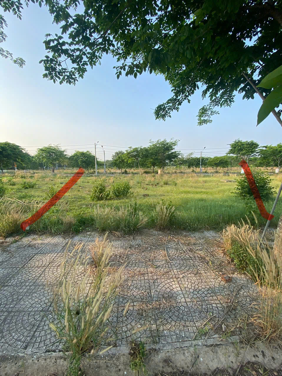  CHÍNH CHỦ CẦN BÁN LÔ ĐẤT ĐẸP – VỊ TRÍ TIỀM NĂNG TẠI BÀU BÀNG, BÌNH DƯƠNG 