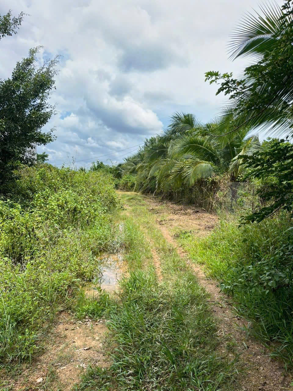  BÁN GẤP 2 SÀO ĐẤT PHÚ NGỌC – ĐỊNH QUÁN – ĐỒNG NAI 