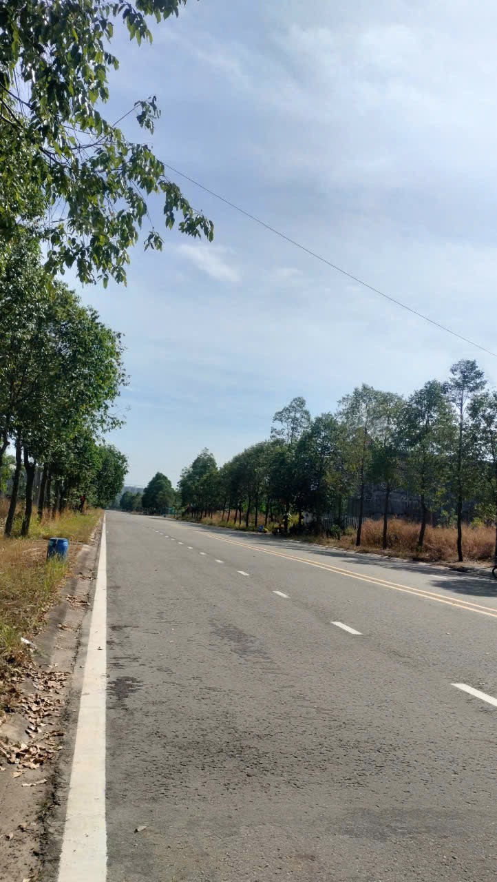  ĐẤT ĐẸP – GIÁ TỐT  – ĐẦU TƯ LÀ SINH LỜI - Bán Đất Mặt Tiền Phường Thới Hòa, Bến Cát, Bình Dương 