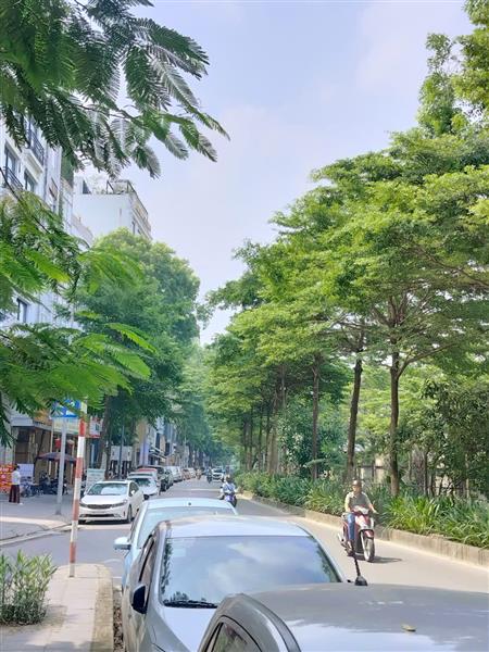  Bán nhà mặt phố Bưởi, 90m2, mặt tiền 5m, phù hợp xây building, nhỉnh 30 tỷ 