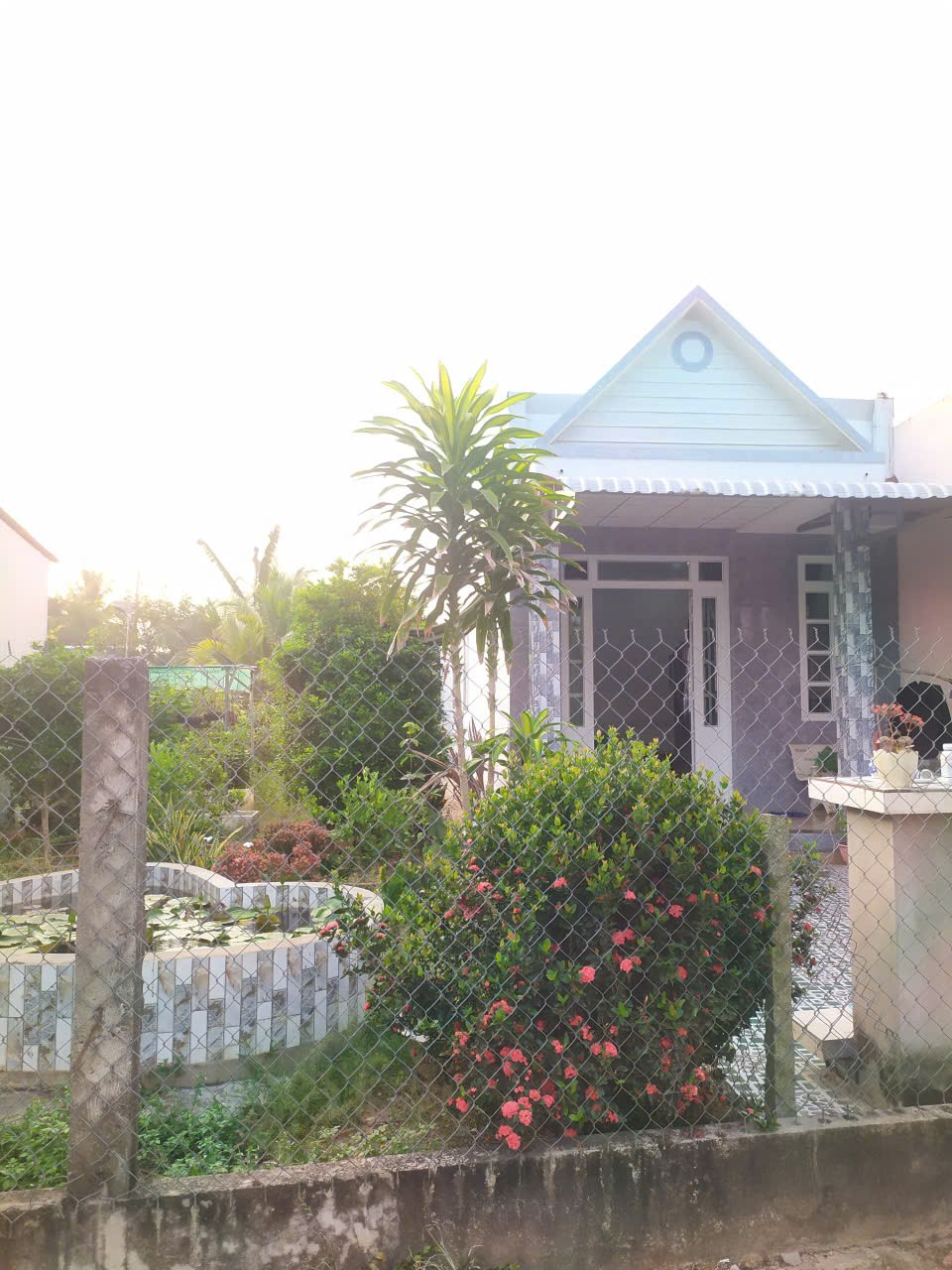  CẦN BÁN NHÀ CẤP 4 KÈM ĐẤT – DIỆN TÍCH RỘNG – GIÁ TỐT – Ấp An Lợi, Xã Cái Bè, Cái Bè, Tiền Giang 