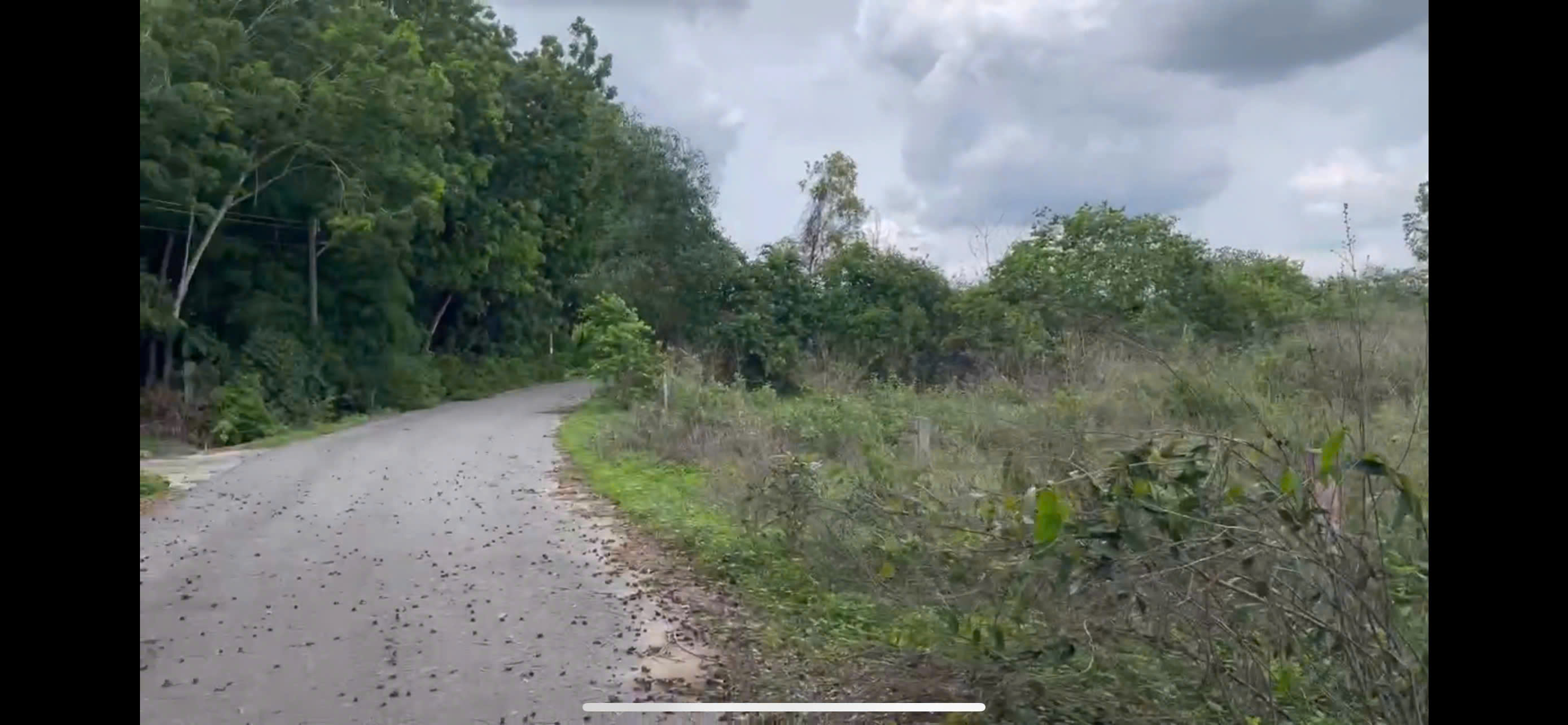  HOT - BÁN GẤP LÔ ĐẤT 702m² XÃ LONG NGUYÊN, BÀU BÀNG, BÌNH DƯƠNG – GIÁ CHỈ 1 TỶ 250, BAO SANG TÊN 