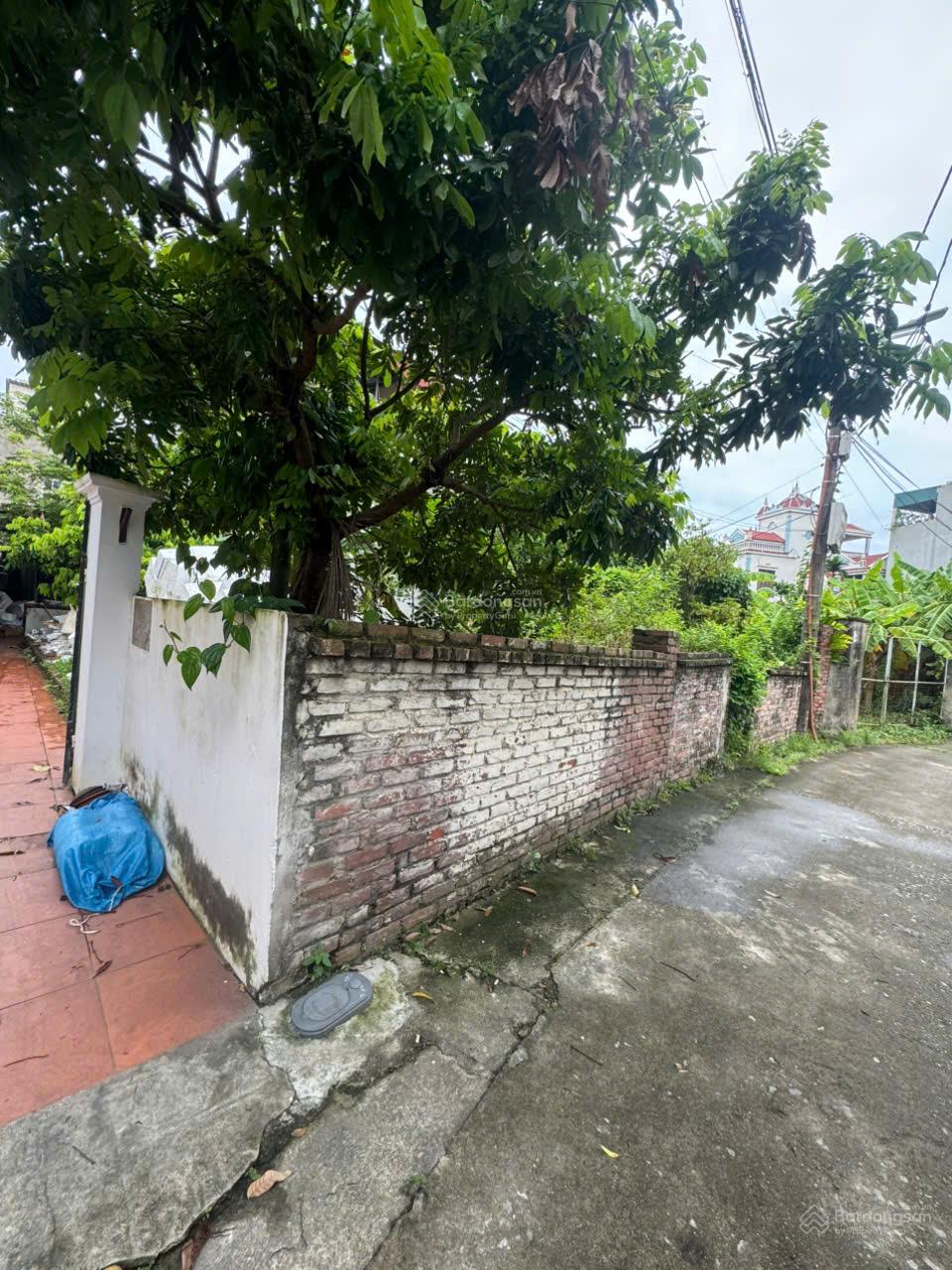  BÁN 2 MẢNH LIỀN KỀ THỔ CƯ SẴN SỔ MẶT TIỀN OTO TRÁNH GIÁ TỐT NHẤT BÁT KHỐI- GIA LÂM 