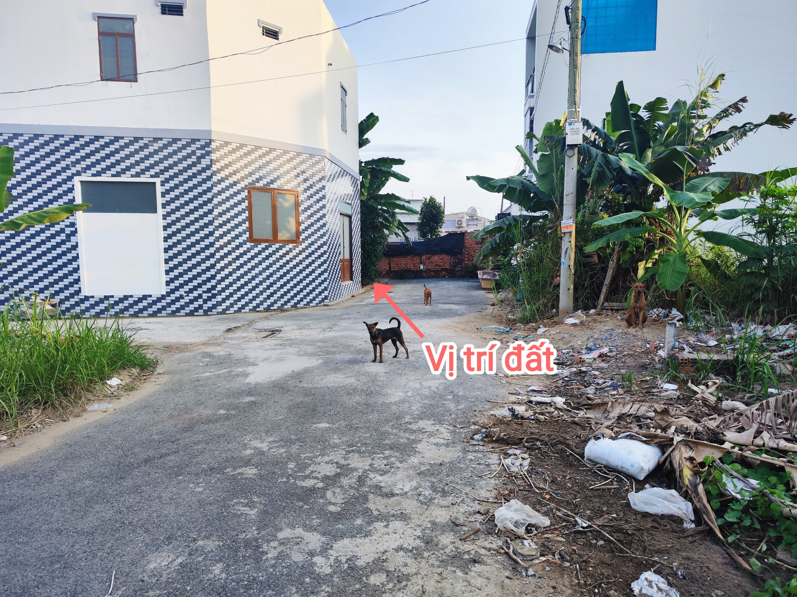  CẦN BÁN 124M2 ĐẤT THÔ CƯ HẺM 6M GẦN CHỢ ĐỆM 