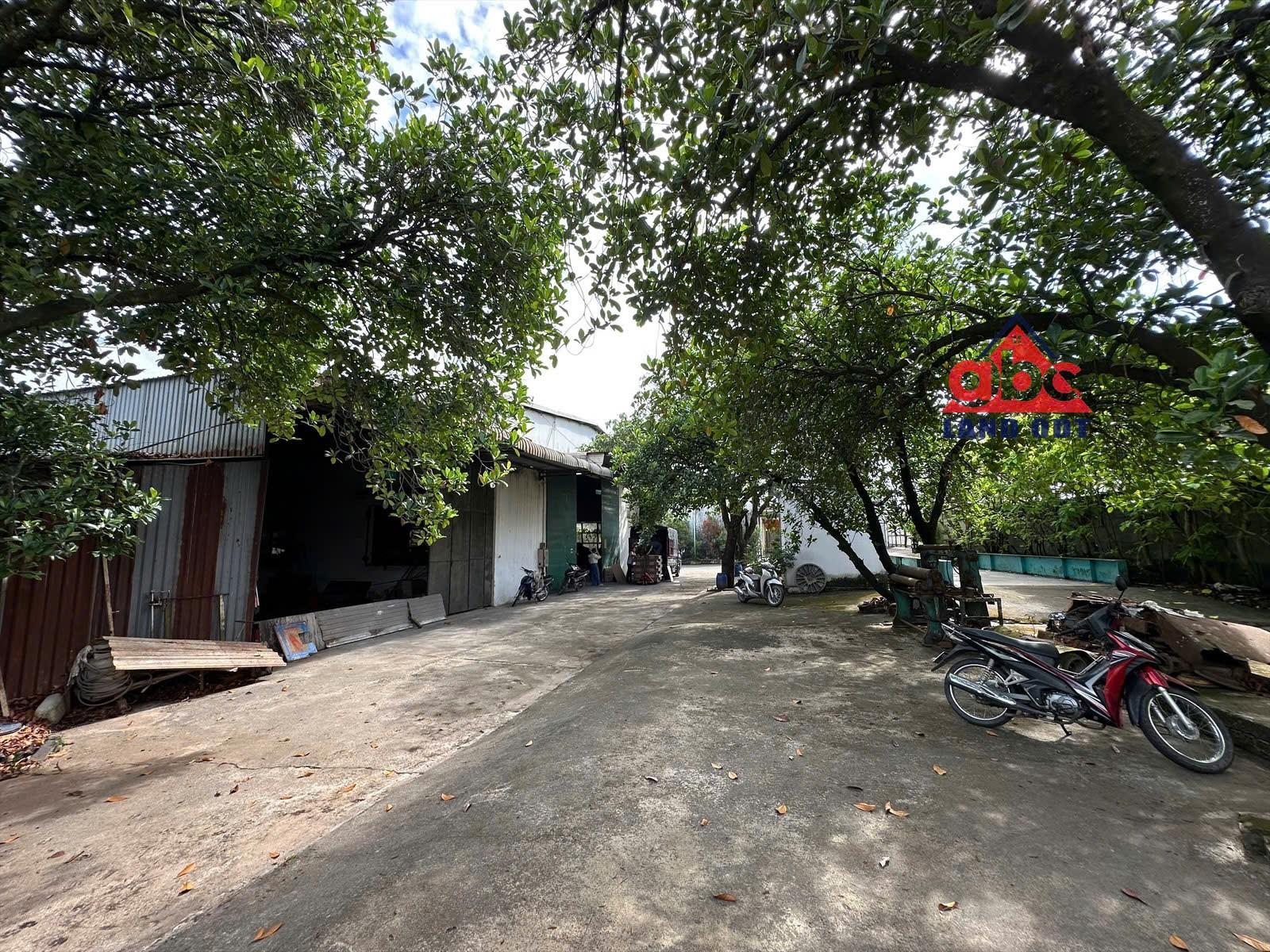  X087 bán nhà xưởng đang có dòng tiền cho thuê cao, ổn định, NX khung thép tiền chế 