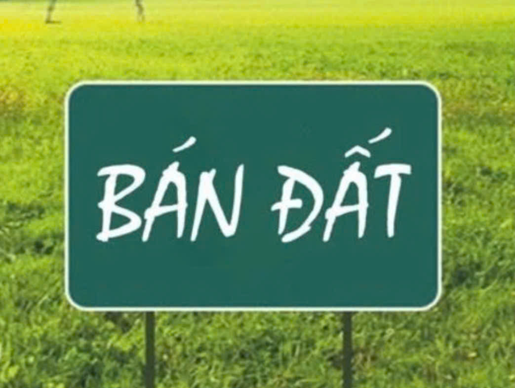  CHÍNH CHỦ BÁN ĐẤT PHÂN LÔ – BÃI CHÁY, HẠ LONG - GIÁ TỐT ĐẦU TƯ 