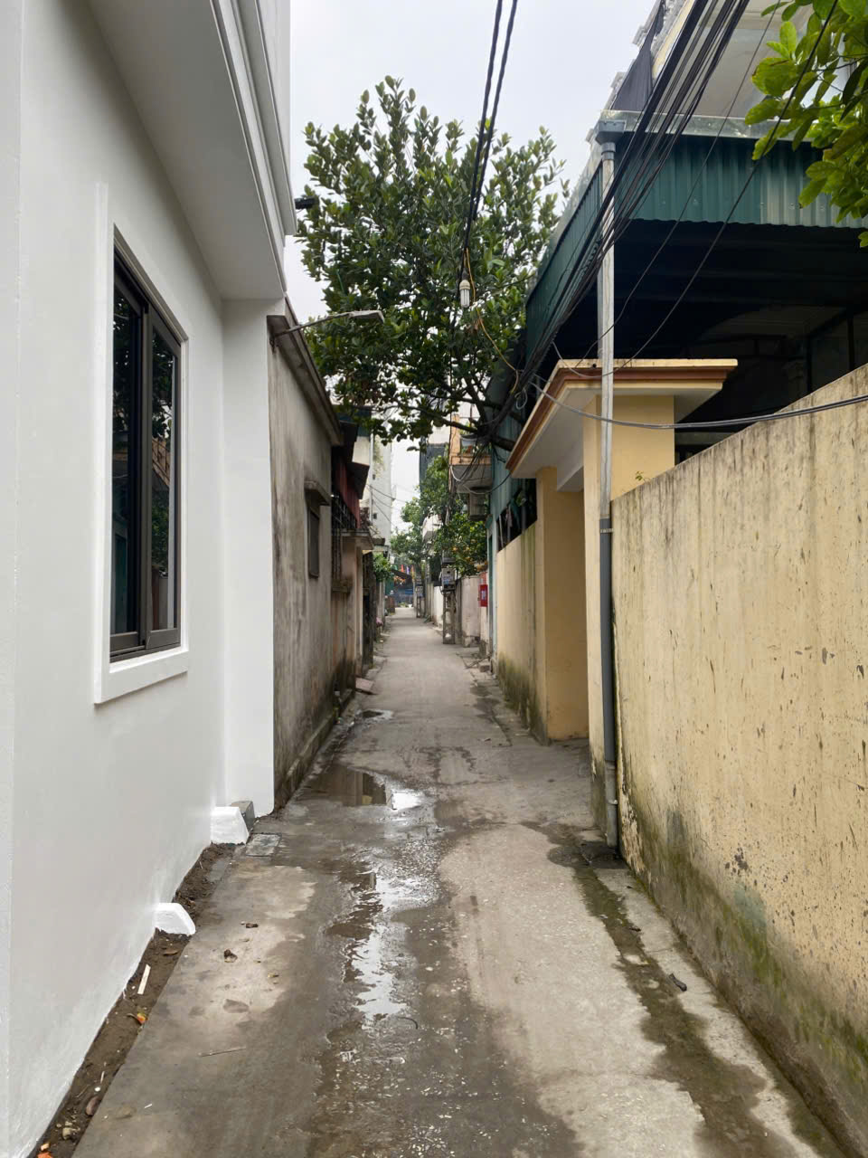  bán 2 lô đất vuông sẵn sổ ngõ thông thẳng tắp từ phan bá vành sang trần quang diệu 