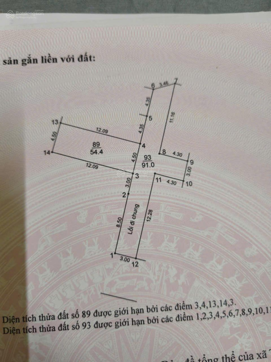  Bán 54.4m2 đất Thuỵ Lâm ngay gần Vin - ô tô vào đất 