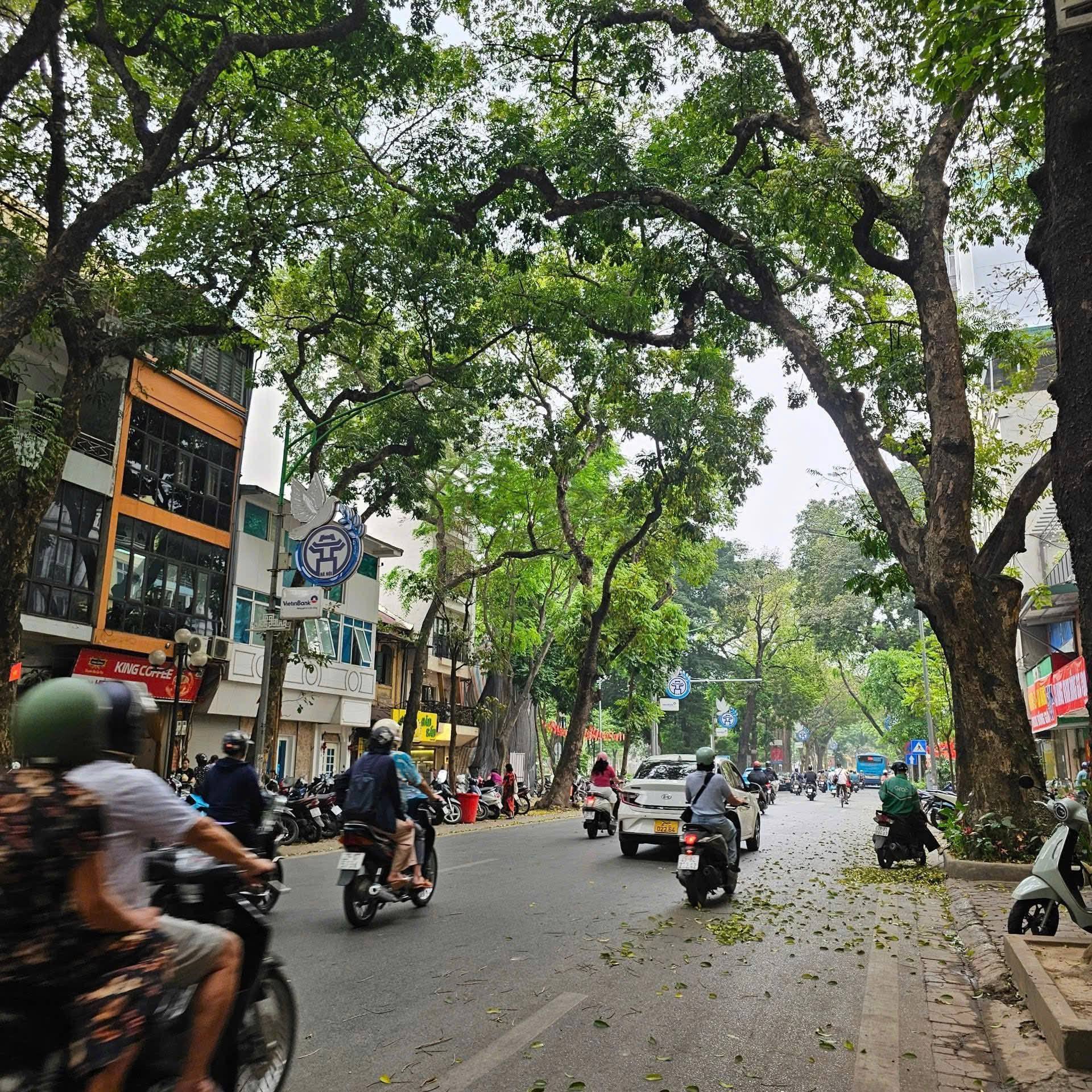  PHAN ĐÌNH PHÙNG –BÁN NHÀ 5 TẦNG – 50M² – 17.5 TỶ  BA ĐÌNH 