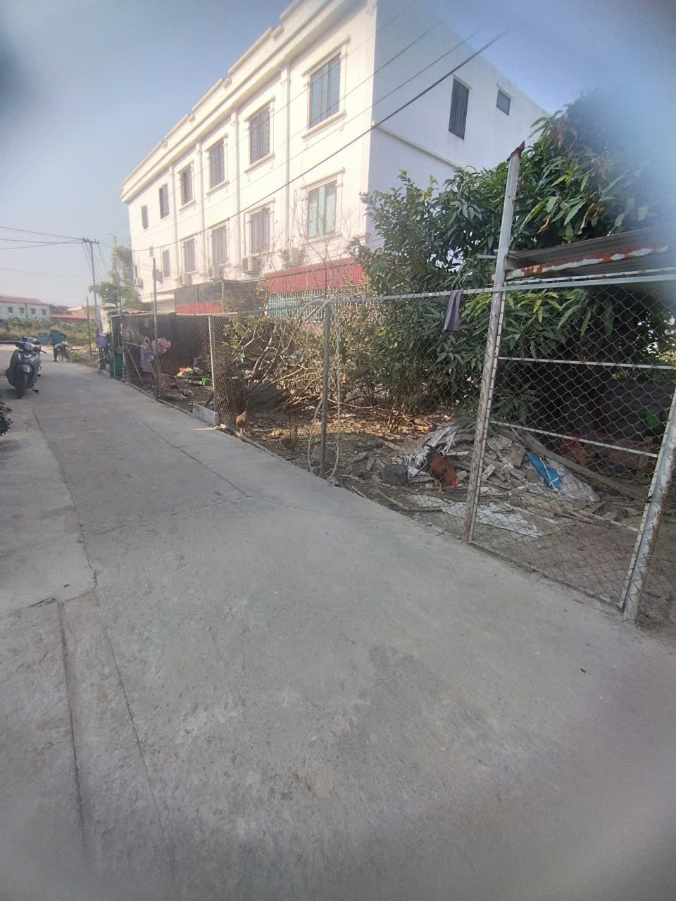  BÁN ĐẤT TUYẾN 2 TRÀNG CÁT, HẢI AN  LÔ GÓC 3 MẶT THOÁNG  GIÁ 2,55 TỶ 