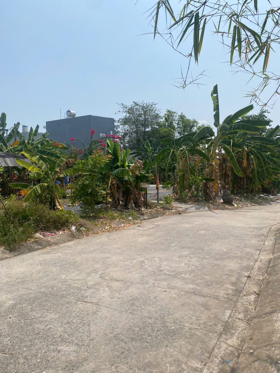  HÀNG NGỘP GIÁ TỐT HẺM XE HƠI, Gần 1900m2 đất duong Đặng văn bi ,  P.bình thọ thủ đức 