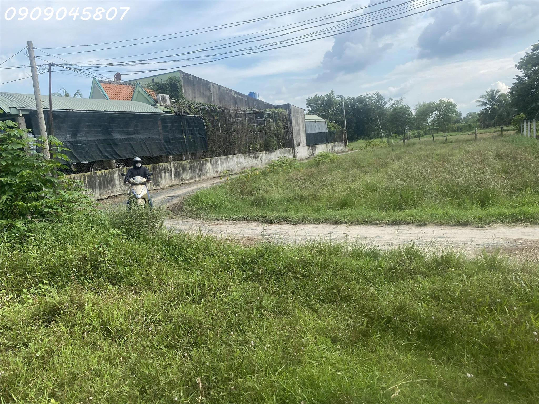  Chính chủ bán gấp 360m2 đất thổ cư 100% Đức Hòa giá 1,55 tỷ có phí hh cho môi giới 