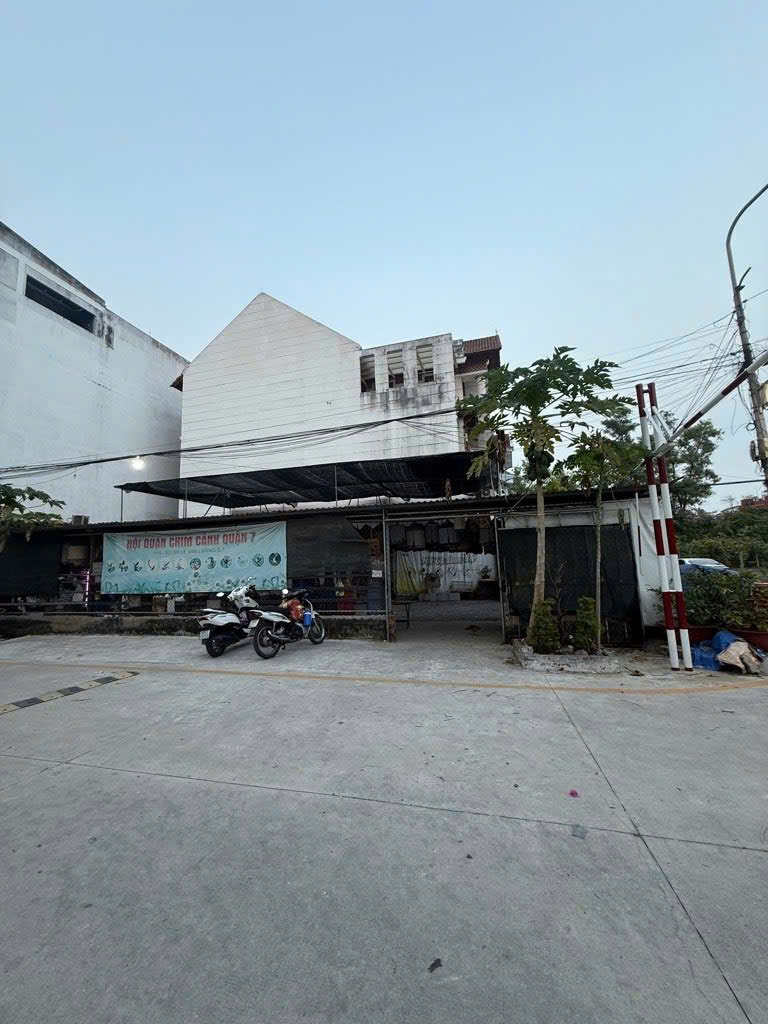  Quận 7, Hiếm, Căn Góc 10x21m, Chỉ 29 Tỷ, Đường Lê Văn Lương, P Tân Hưng, Bán Gấp 