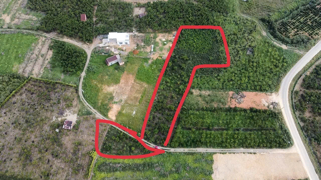  BÁN ĐẤT VIEW ĐẸP TẠI TP. BẢO LỘC – GIÁ CHỈ 1,4 TỶ/SÀO 