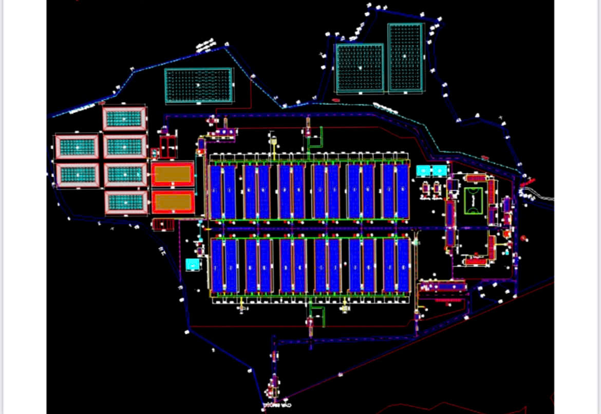  CƠ HỘI ĐẦU TƯ TRANG TRẠI NUÔI HEO THÁI BÌNH, GIA LAI -  QUY MÔ LỚN – GIÁ TỐT 