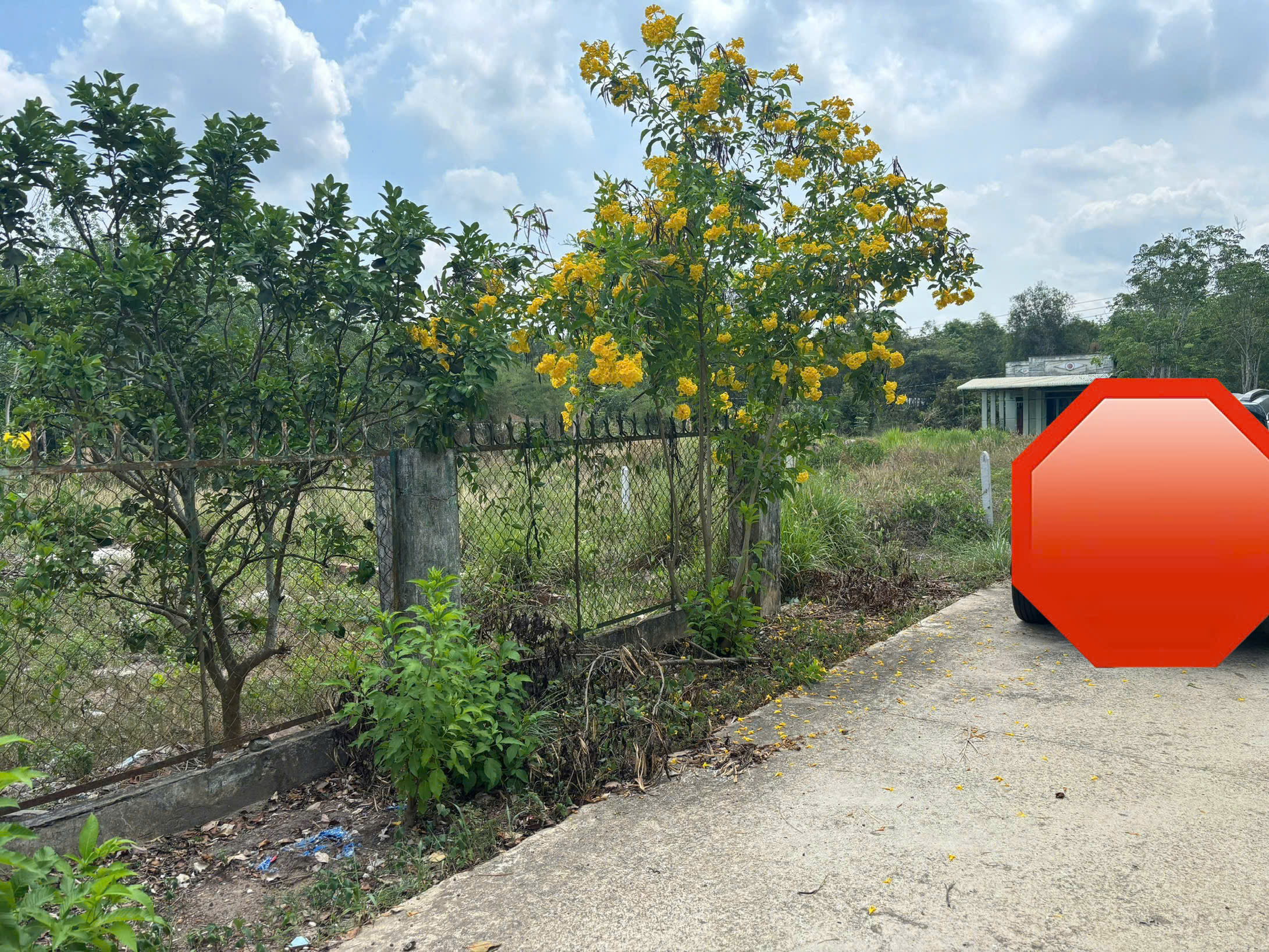  Chính chủ bán gấp đất 920m2 tại chợ Định Hiệp 