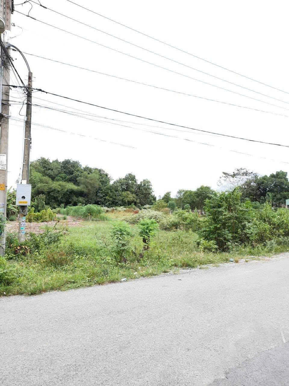  XƯỞNG VIP 3MT NHỰA ĐƯỜNG SÔNG LU, TRUNG AN, CỦ CHI CHỈ 14 TỶ. 