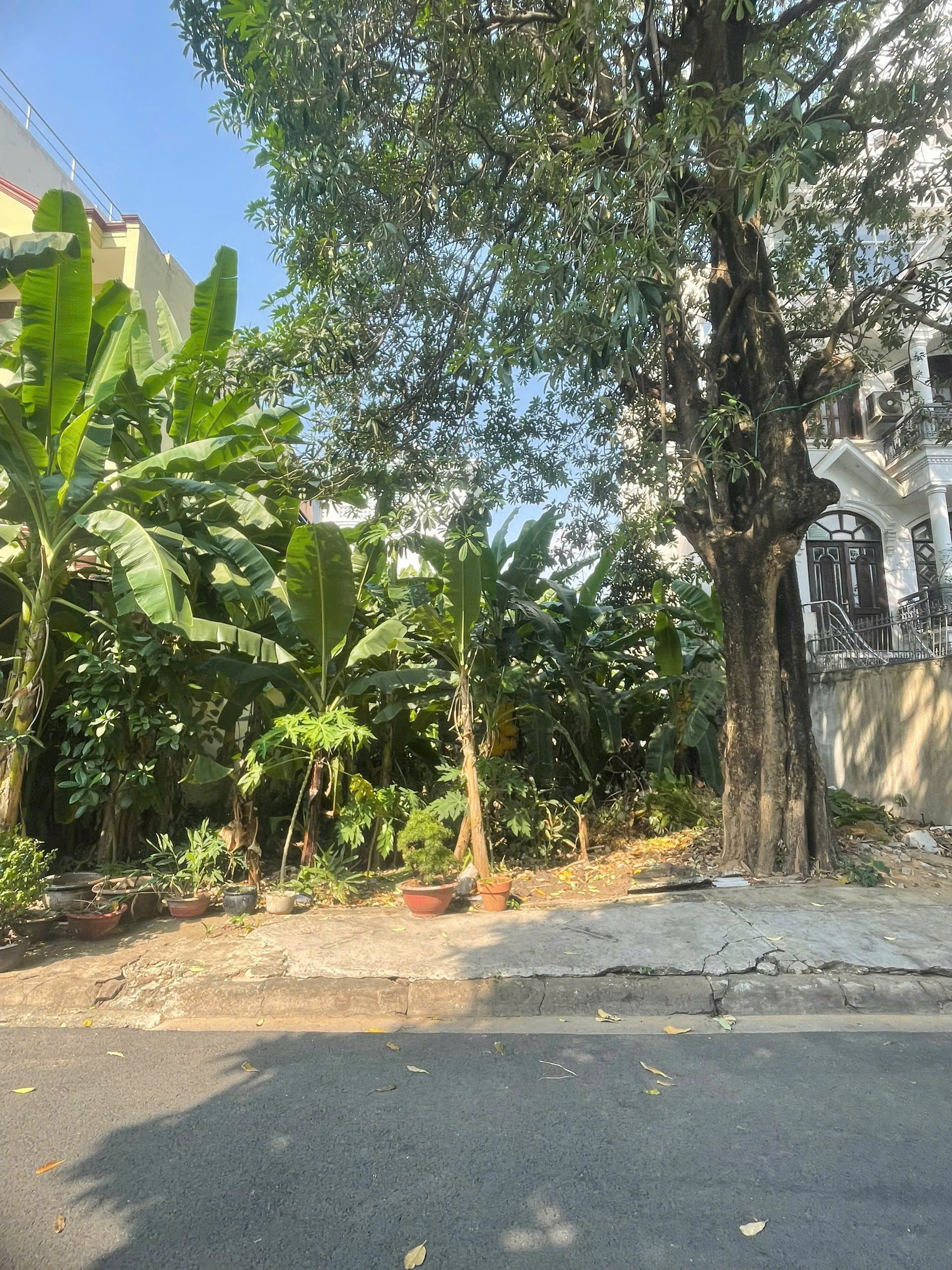  Quỹ đất hiếm - Mặt tiền đường số 33 - Trần Não - đường 12m - view sông Sài Gòn - 26.9 tỷ 