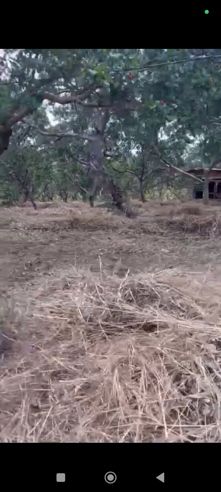  ĐẤT ĐẸP GIÁ TỐT – CẦN BÁN ĐẤT ĐẮK NGUYÊN – Xã Đắk Ngo, Huyện Tuy Đức, Đắk Nông 