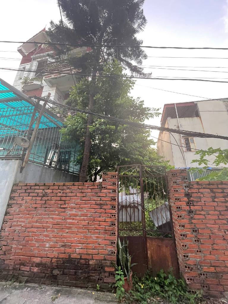  Bán đất Mai Lâm Đông anh- Hàng xóm Vin Cỏ Loa, trục Tứ Liên-130m mặt tiền rộng - nhỉnh 11 tỷ(TL) 