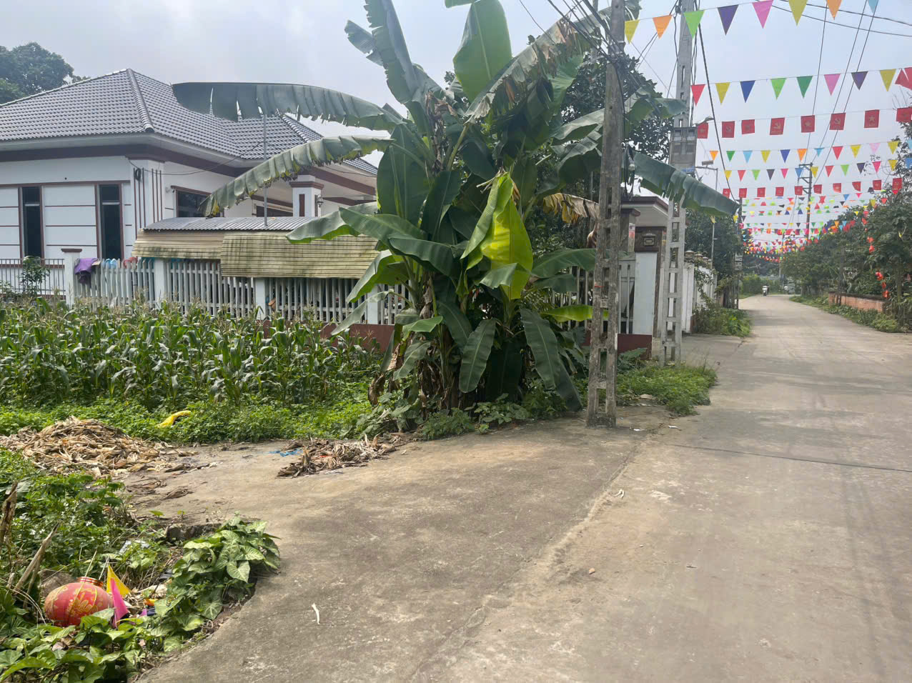  CHÍNH CHỦ BÁN GẤP 2 Ô ĐẤT LIỀN KỀ TẠI VẠN XUÂN, TAM NÔNG, PHÚ THỌ 