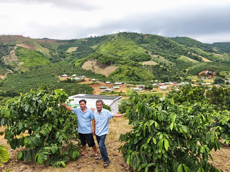  SIÊU PHẨM 15HA VIEW ĐẸP HIẾM – FULL CÂY TRÁI + CAFE – LÀM FARM STAY CỰC ĐỈNH. 