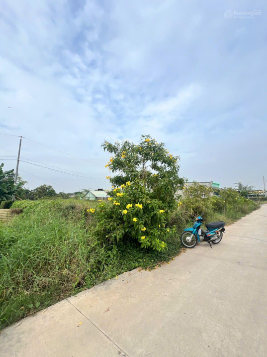  CHÍNH CHỦ HẠ GIÁ, CẦN BÁN GẤP ĐẤT ĐẸP XÃ ĐỨC HOÀ ĐÔNG, GẦN ĐƯỜNG 823D MỞ RỘNG GIÁ CỰC TỐT 