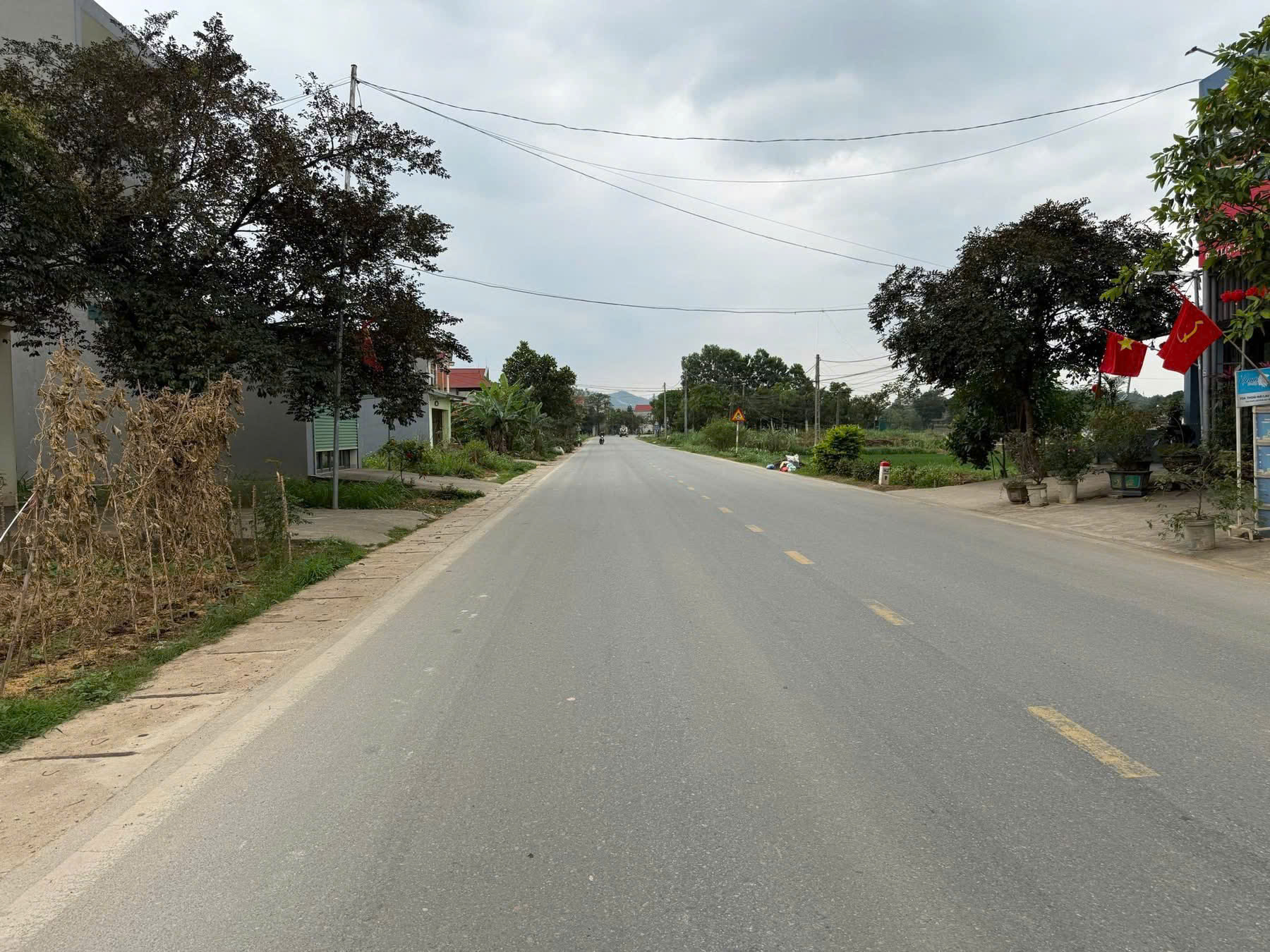  CƠ HỘI SỞ HỮU ĐẤT MẶT TIỀN ĐT317, THANH THỦY, PHÚ THỌ – VỊ TRÍ ĐẸP, GIÁ TỐT ĐẦU TƯ SINH LỜI CAO 