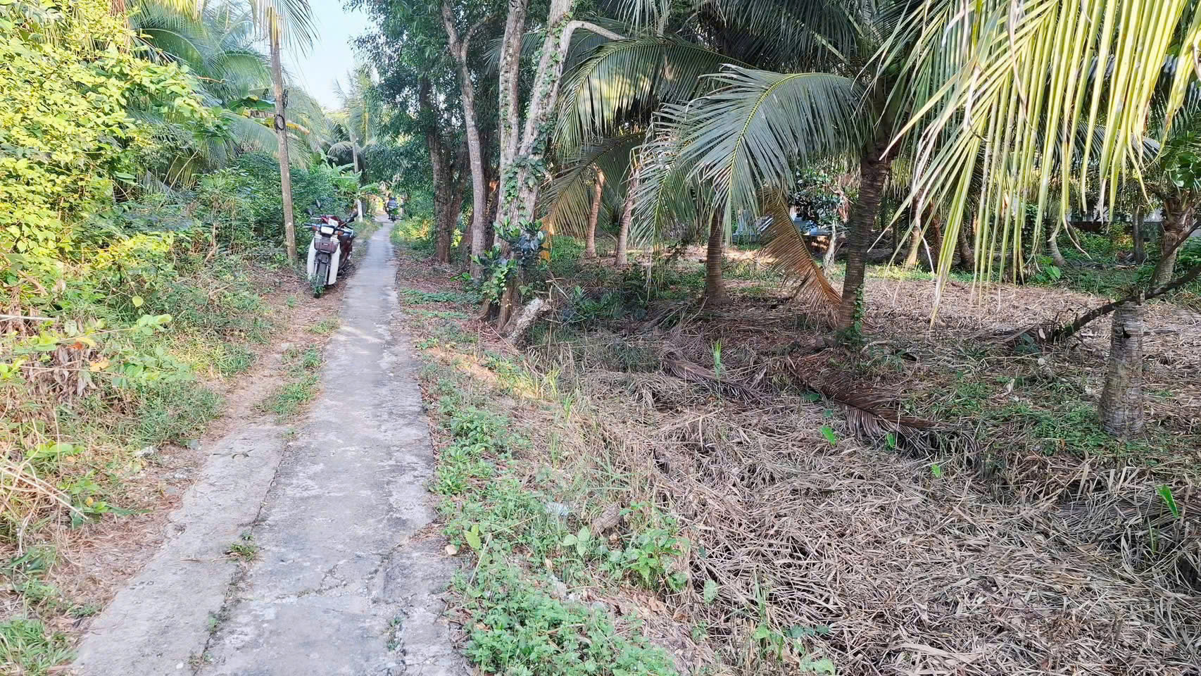  CHÍNH CHỦ CẦN BÁN LÔ ĐẤT CÓ VỊ TRÍ ĐẸP TẠI PHƯỜNG PHƯỚC HẬU - TP.VĨNH LONG - VĨNH LONG 