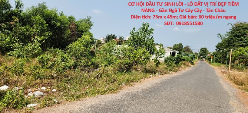  CƠ HỘI ĐẦU TƯ SINH LỜI - LÔ ĐẤT VỊ TRÍ ĐẸP TIỀM NĂNG - Gần Ngã Tư Cây Cầy - Tân Châu 