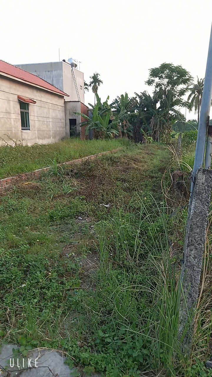  Chính chủ cần tiền nên bán nhanh lô đất Trục chính thôn Đông phú dtích 150m2 full thổ cư 